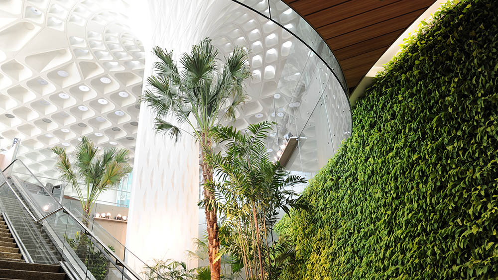 living green walls